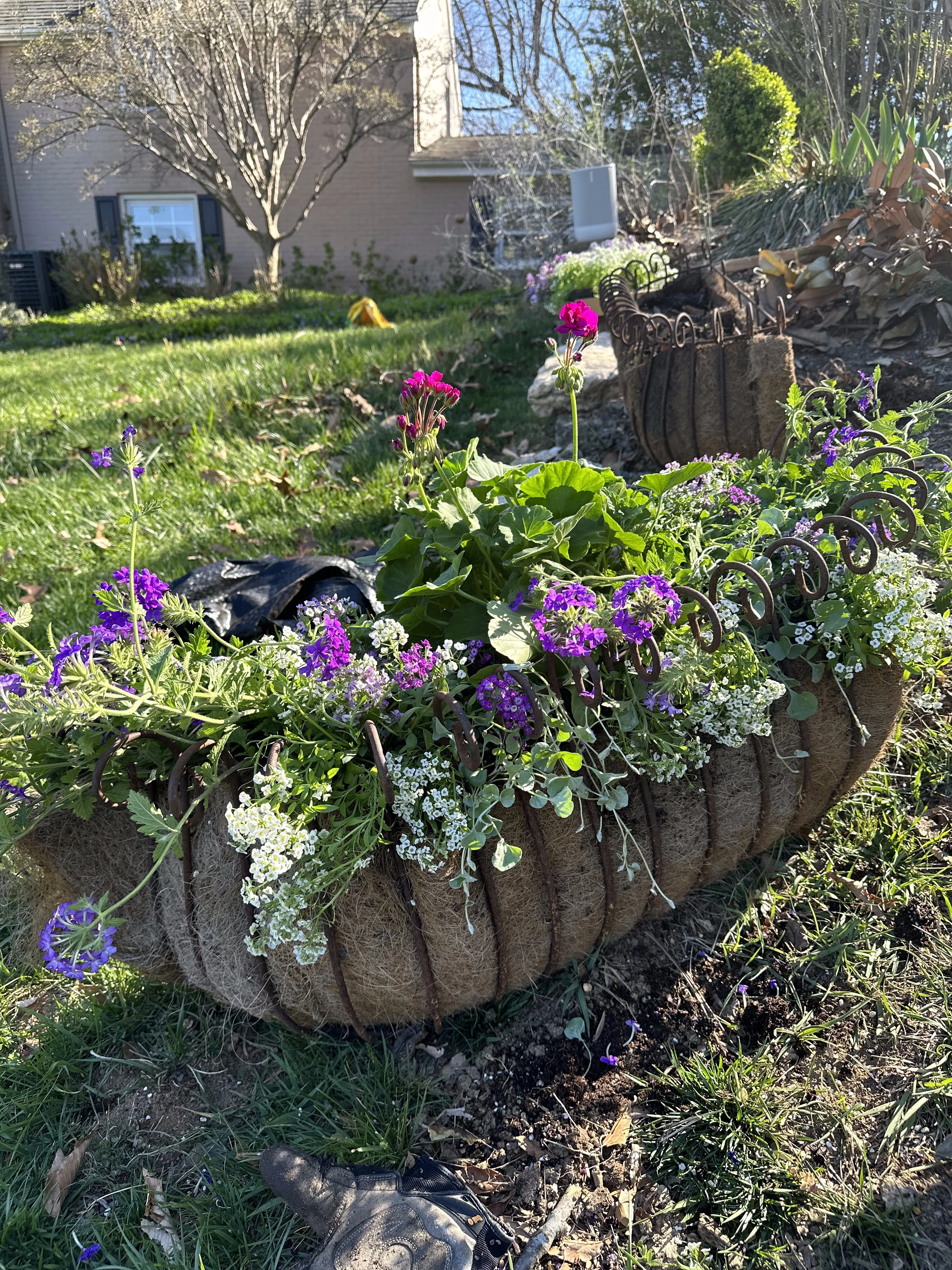 Barrel planter overflowing with colorful mixed flowers and trailing vines