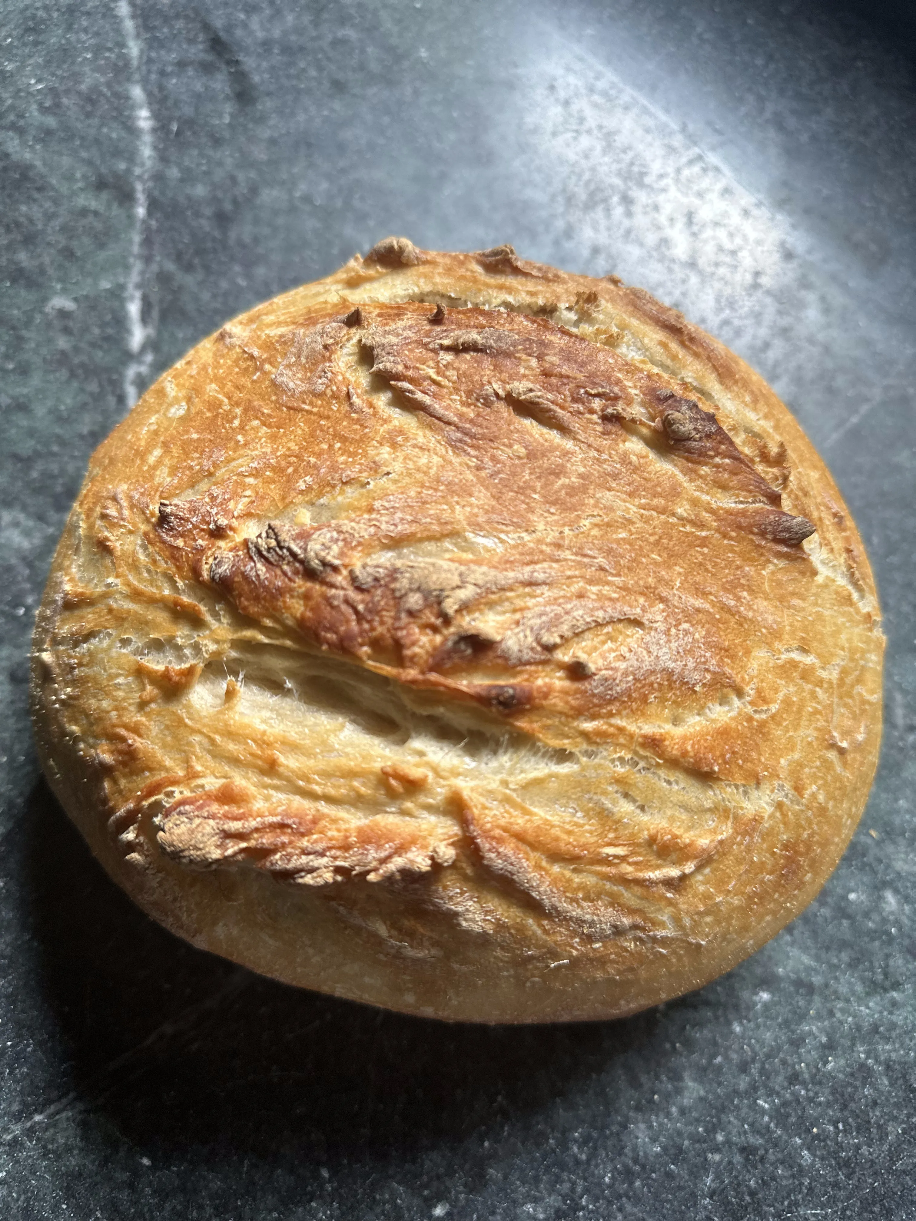 Golden-crusted sourdough loaf fresh from the oven