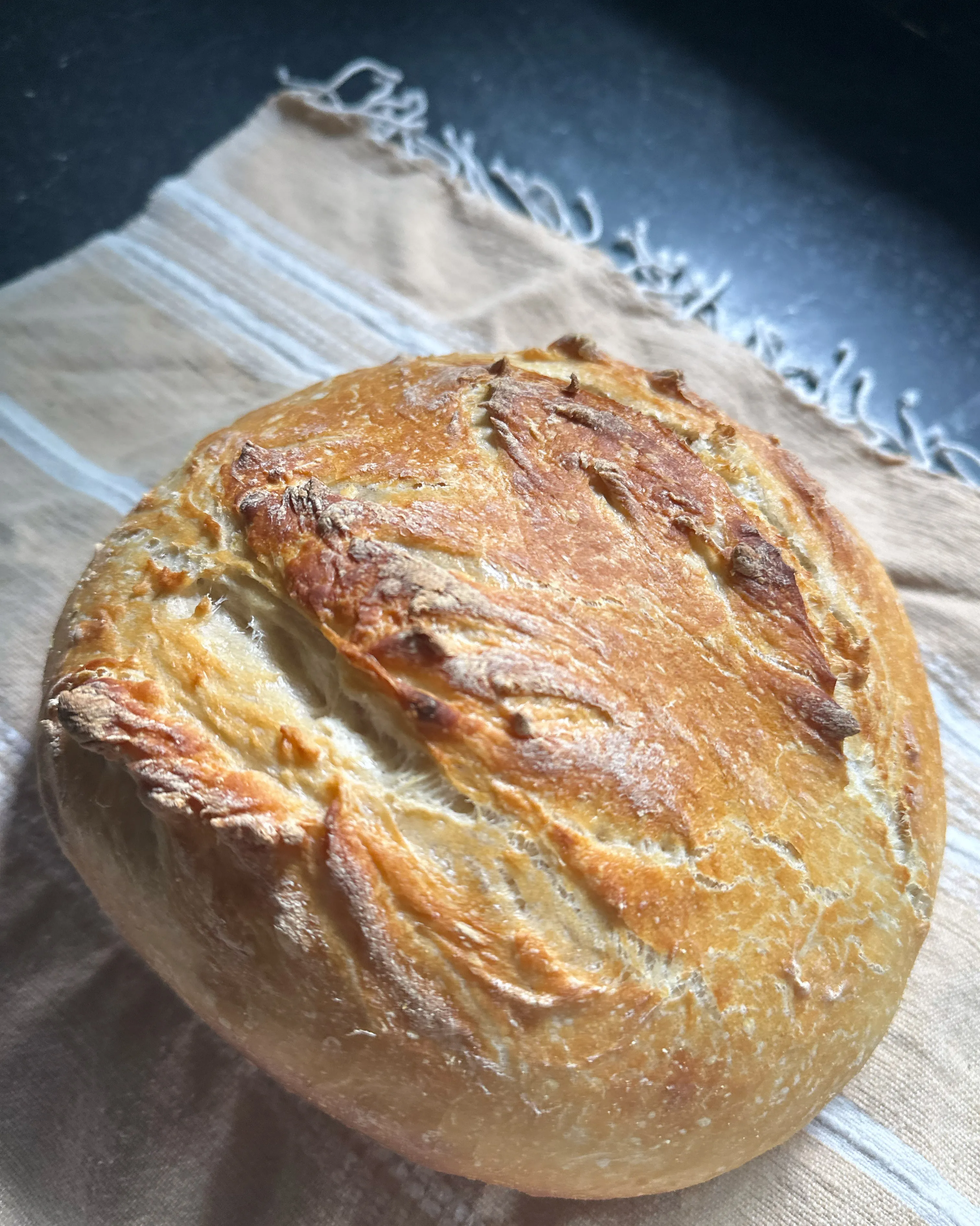 Fresh sourdough loaf from Roselawn Gardens